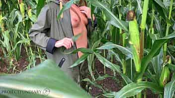 couple having sex in a public cornfield - loving the thrill to get caught video